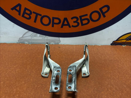 Петли капота RB2